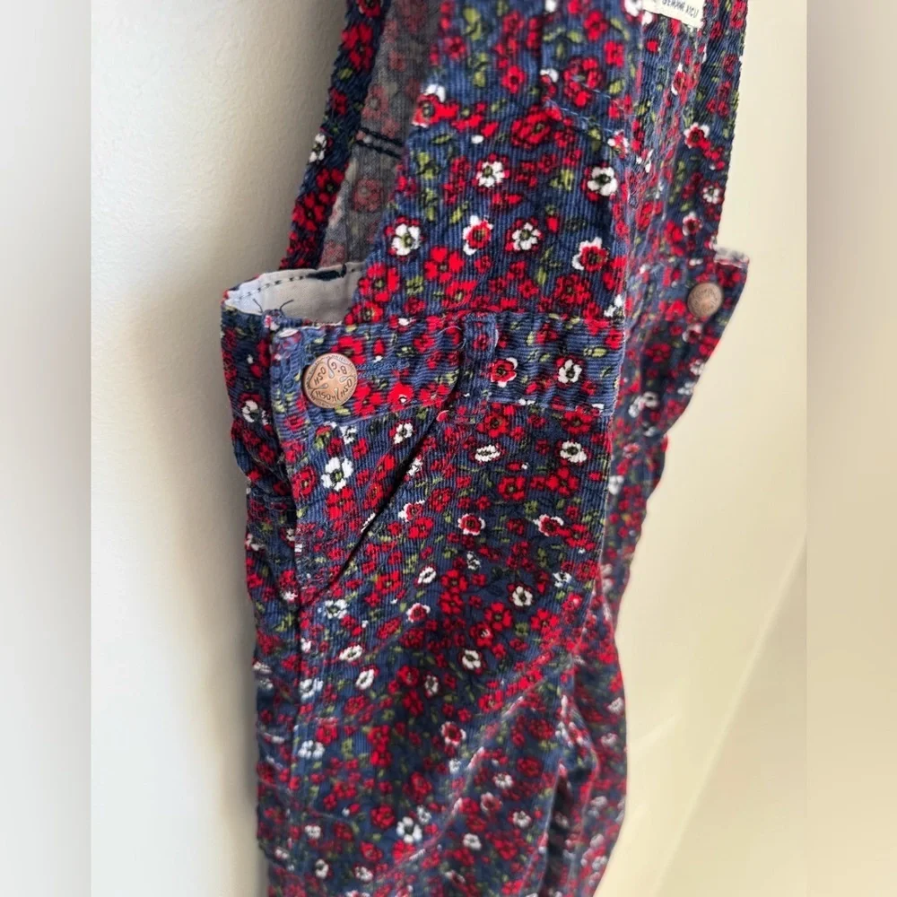 Oshkosh B’gosh Vintage Floral Overalls 24M